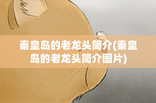 秦皇岛的老龙头简介(秦皇岛的老龙头简介图片)