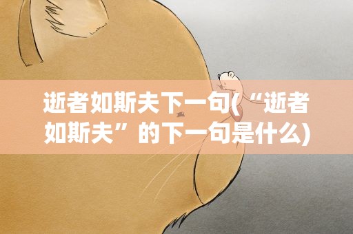 逝者如斯夫下一句(“逝者如斯夫”的下一句是什么)