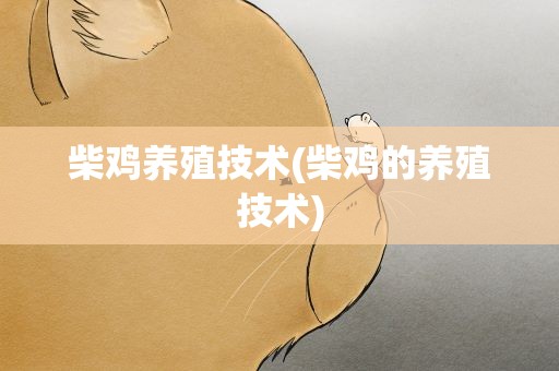 柴鸡养殖技术(柴鸡的养殖技术)