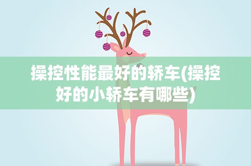 操控性能最好的轿车(操控好的小轿车有哪些)