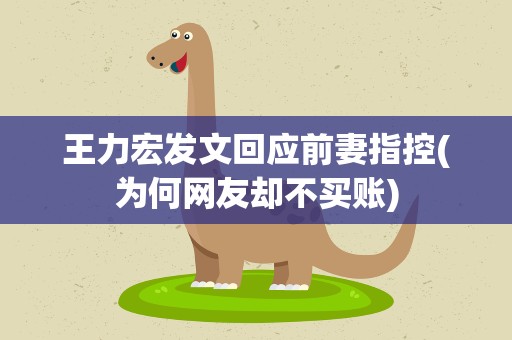 王力宏发文回应前妻指控(为何网友却不买账)