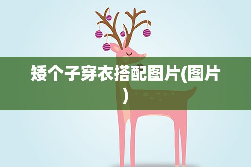 矮个子穿衣搭配图片(图片)