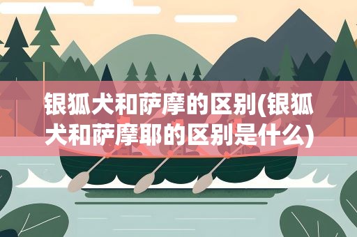 银狐犬和萨摩的区别(银狐犬和萨摩耶的区别是什么)