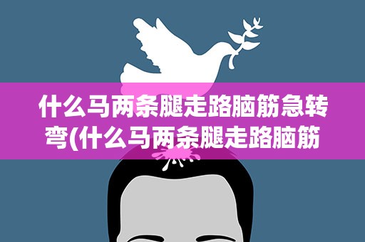 什么马两条腿走路脑筋急转弯(什么马两条腿走路脑筋急转弯呢)
