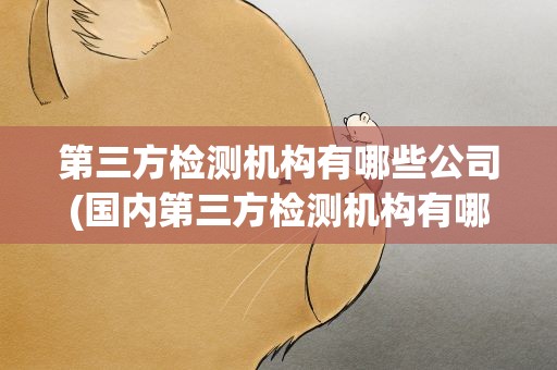 第三方检测机构有哪些公司(国内第三方检测机构有哪些)