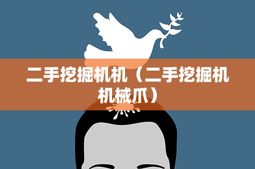 二手挖掘机机（二手挖掘机机械爪）