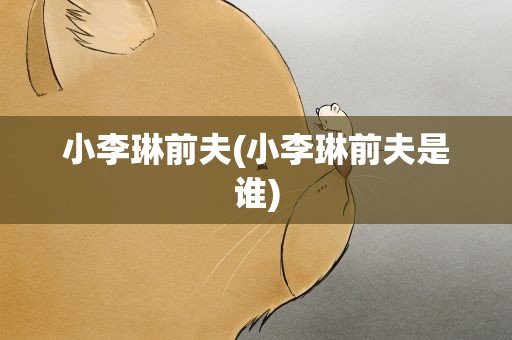 小李琳前夫(小李琳前夫是谁)