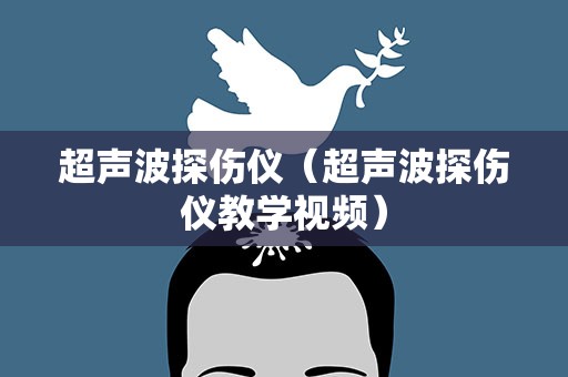超声波探伤仪（超声波探伤仪教学视频）