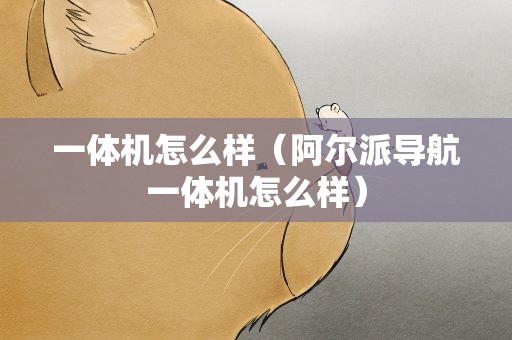 一体机怎么样（阿尔派导航一体机怎么样）
