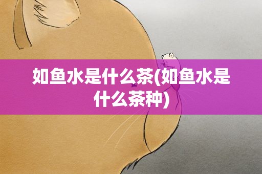 如鱼水是什么茶(如鱼水是什么茶种)