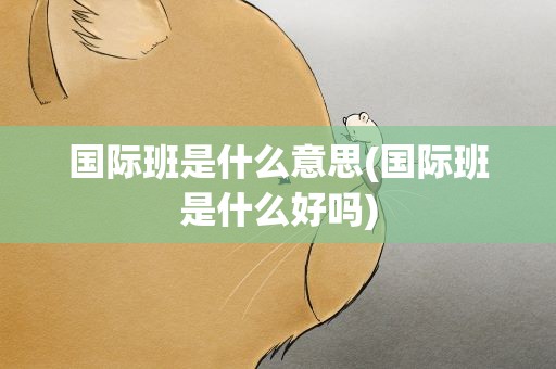 国际班是什么意思(国际班是什么好吗)