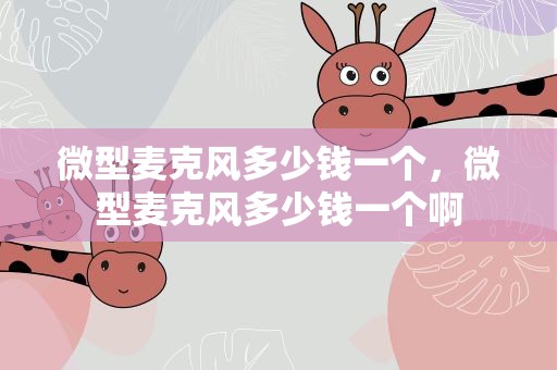 微型麦克风多少钱一个，微型麦克风多少钱一个啊