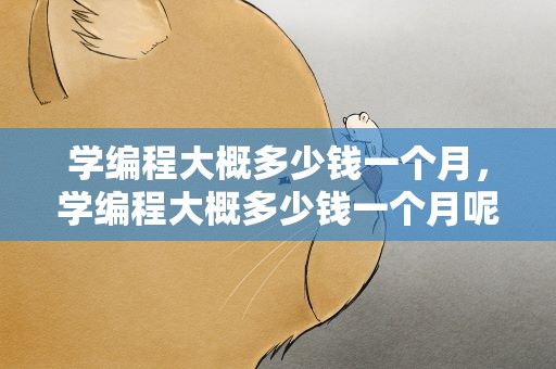 学编程大概多少钱一个月，学编程大概多少钱一个月呢