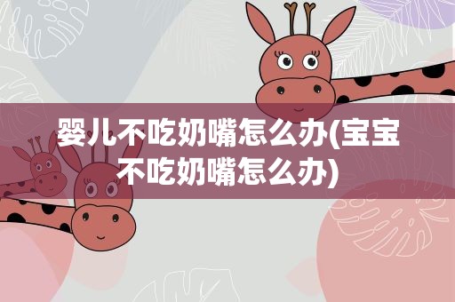 婴儿不吃奶嘴怎么办(宝宝不吃奶嘴怎么办)