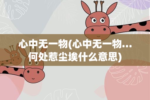 心中无一物(心中无一物…何处惹尘埃什么意思)