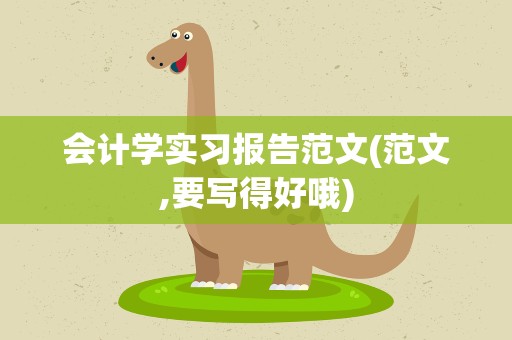 会计学实习报告范文(范文,要写得好哦)