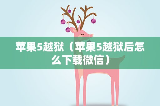 苹果5越狱（苹果5越狱后怎么下载微信）