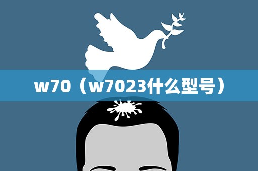 w70（w7023什么型号）