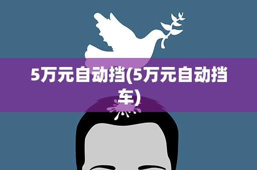 5万元自动挡(5万元自动挡车)