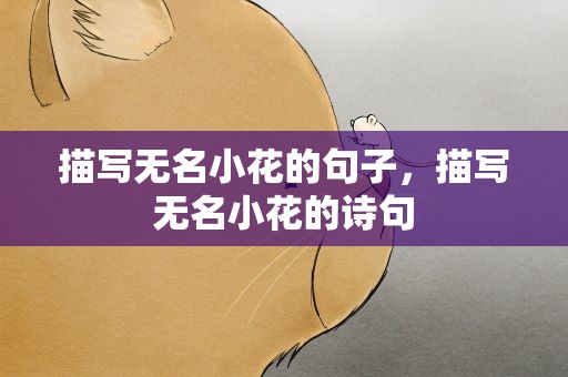 描写无名小花的句子，描写无名小花的诗句