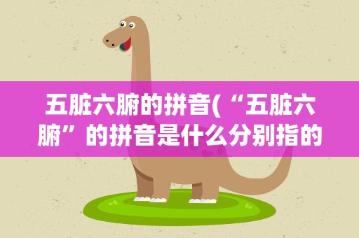 五脏六腑的拼音(“五脏六腑”的拼音是什么分别指的是什么)