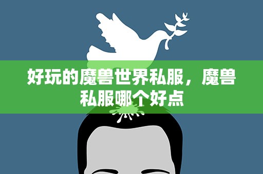 好玩的魔兽世界私服，魔兽私服哪个好点