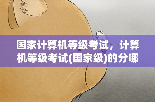 国家计算机等级考试，计算机等级考试(国家级)的分哪几个等级