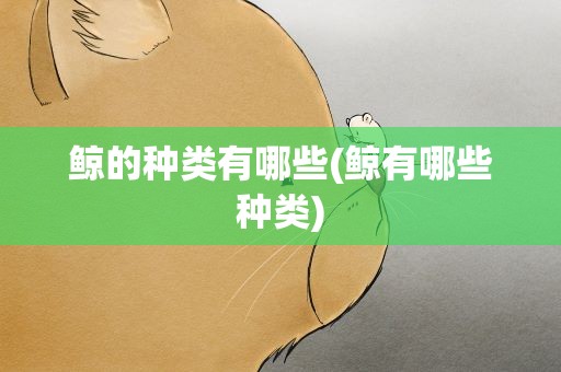 鲸的种类有哪些(鲸有哪些种类)