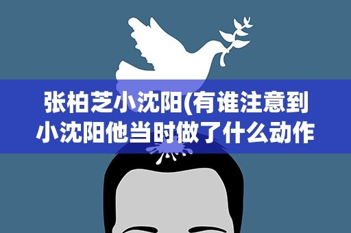 张柏芝小沈阳(有谁注意到小沈阳他当时做了什么动作)