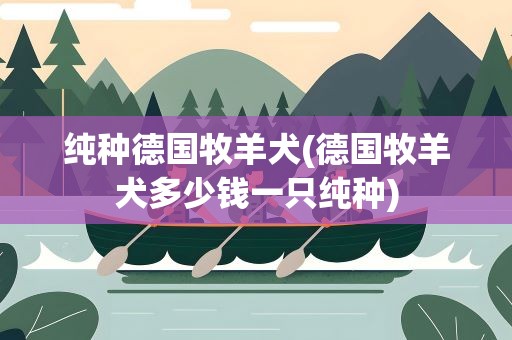 纯种德国牧羊犬(德国牧羊犬多少钱一只纯种)