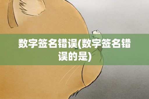 数字签名错误(数字签名错误的是)