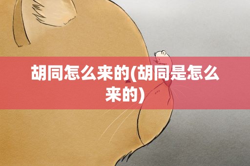 胡同怎么来的(胡同是怎么来的)