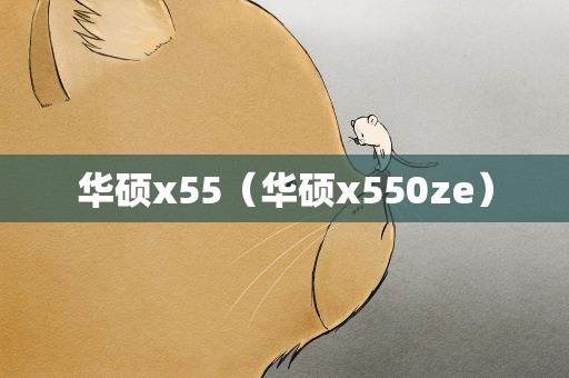 华硕x55（华硕x550ze）