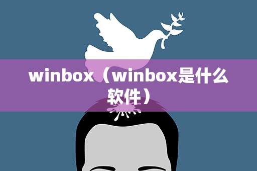 winbox（winbox是什么软件）