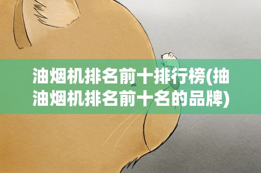 油烟机排名前十排行榜(抽油烟机排名前十名的品牌)