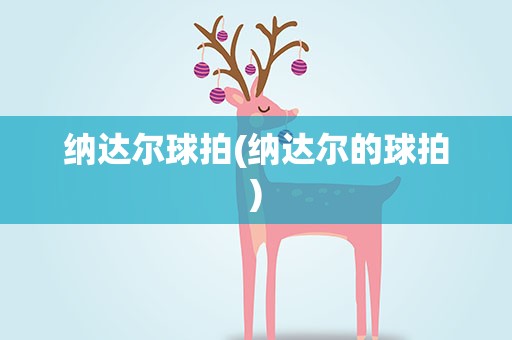 纳达尔球拍(纳达尔的球拍)