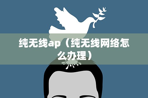 纯无线ap（纯无线网络怎么办理）