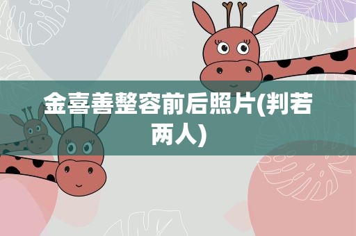 金喜善整容前后照片(判若两人)