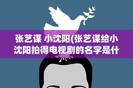 张艺谋 小沈阳(张艺谋给小沈阳拍得电视剧的名字是什么啊)