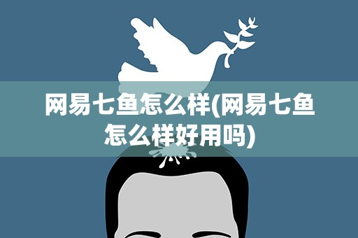 网易七鱼怎么样(网易七鱼怎么样好用吗)