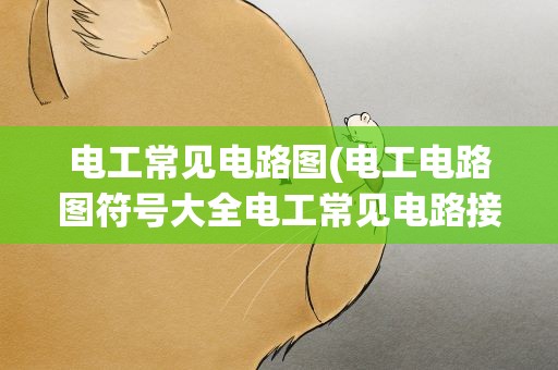 电工常见电路图(电工电路图符号大全电工常见电路接线图)