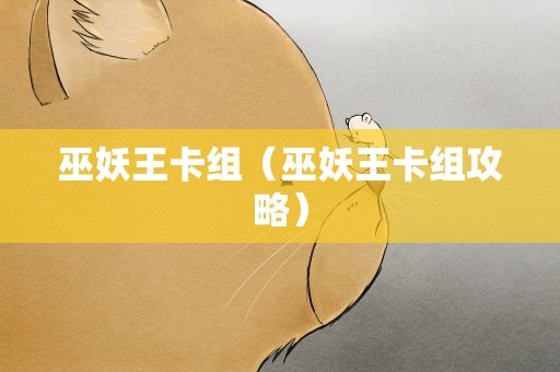 巫妖王卡组（巫妖王卡组攻略）