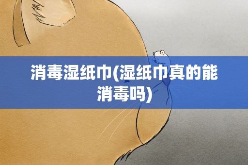 消毒湿纸巾(湿纸巾真的能消毒吗)