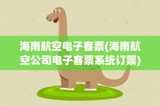 海南航空电子客票(海南航空公司电子客票系统订票)
