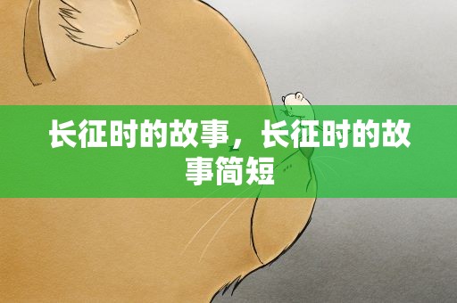 长征时的故事，长征时的故事简短