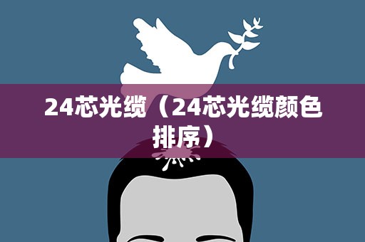 24芯光缆（24芯光缆颜色排序）