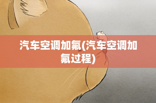 汽车空调加氟(汽车空调加氟过程)