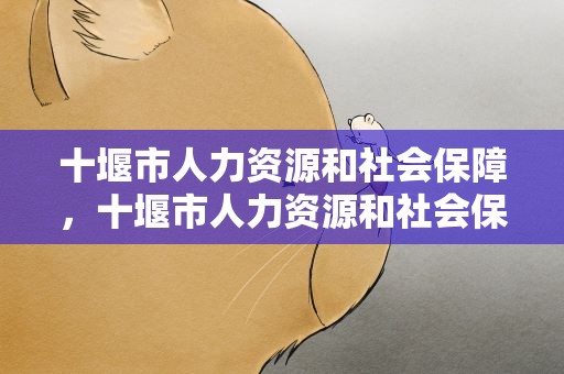 十堰市人力资源和社会保障，十堰市人力资源和社会保障局
