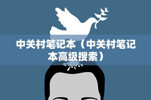 中关村笔记本（中关村笔记本高级搜索）