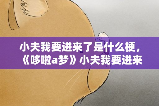 小夫我要进来了是什么梗，《哆啦a梦》小夫我要进来了什么梗